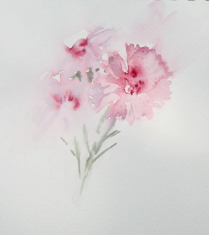 Dinathus 'Pinks' (Watercolour)