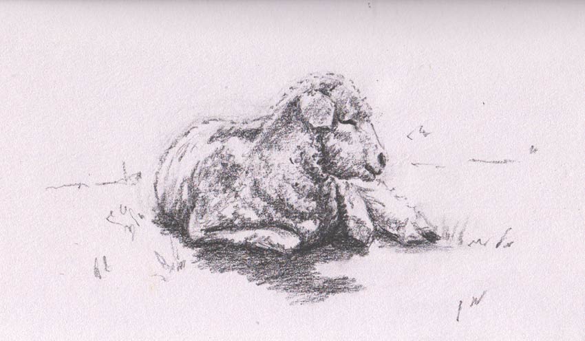 Lazing Lamb (Graphite)