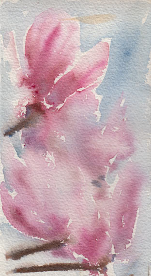 Loose Magnolia Warm-up (Watercolour)
