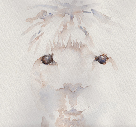 Alpaca (Watercolour Sketch)