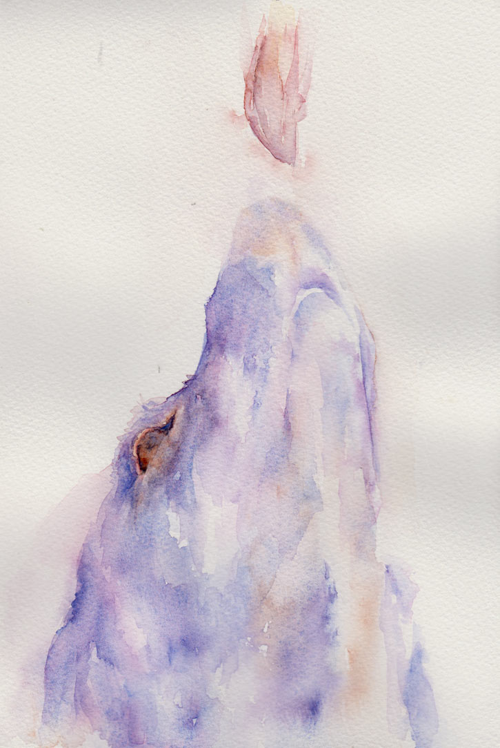 Aysha: For Chicken... Anything! (Watercolour)