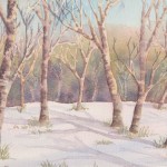 Silver Birches in Snow (Watercolour)