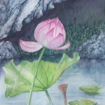 Lotus & Rocks (Watercolour)