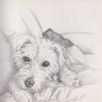 Sneaking on to the Sofa (Graphite Stick)