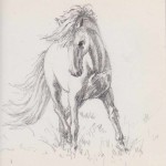 Prancing Pony (Sketch)