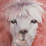 Alpaca (Watercolour Sketch)